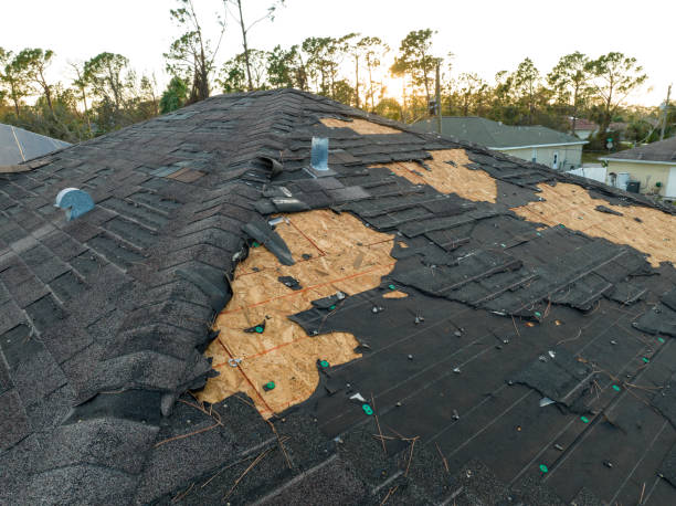 Best Sheet Metal Roofing  in Sunrise Beach Village, TX